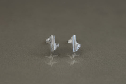 Unknown knowns earrings "S" / Silver