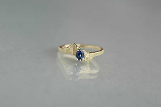 Unknown knowns ring + bicolor sapphire
