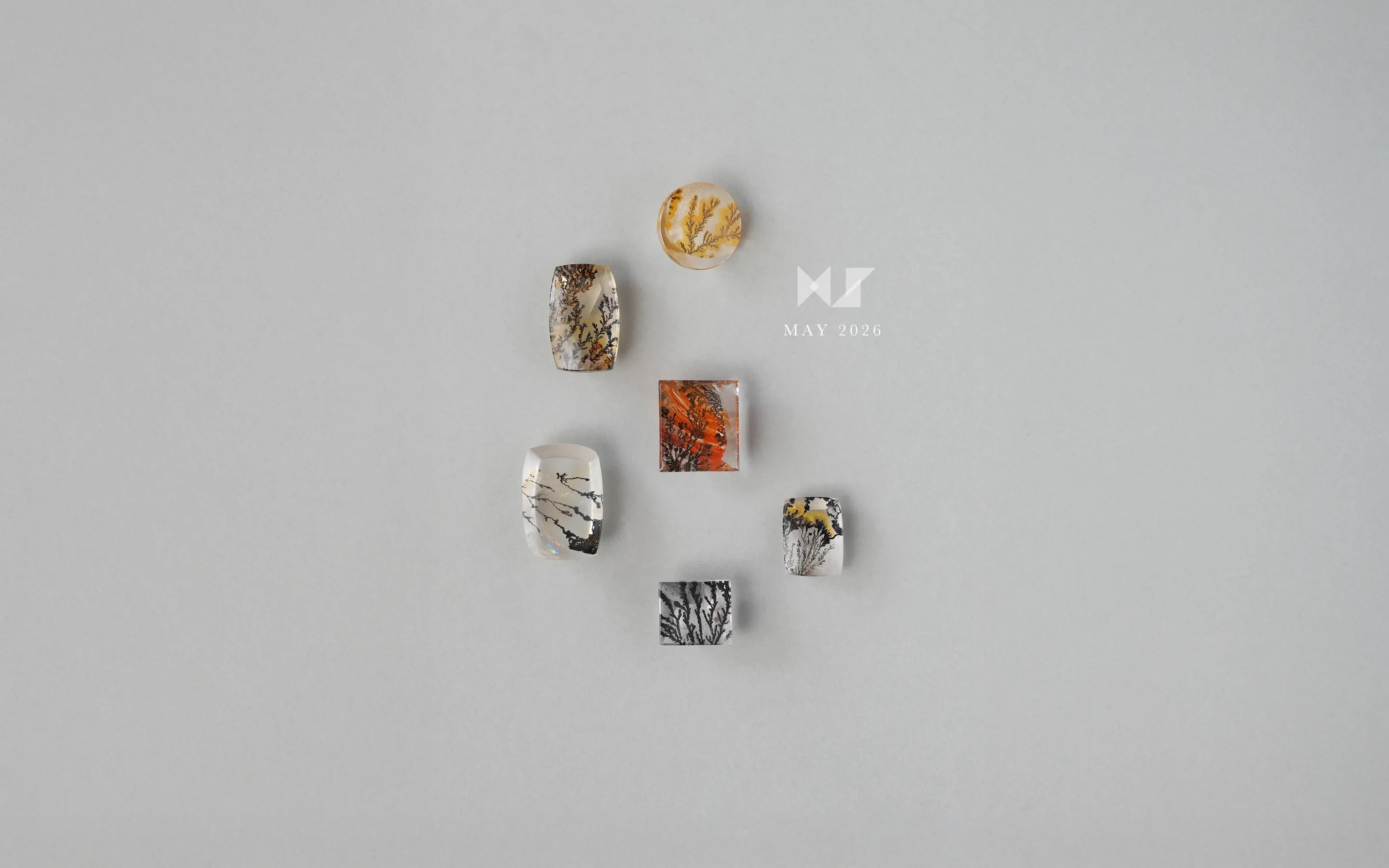 Ryui Monthly Selection -2026.5月-