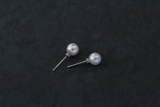 Akoya pearl stud earrings